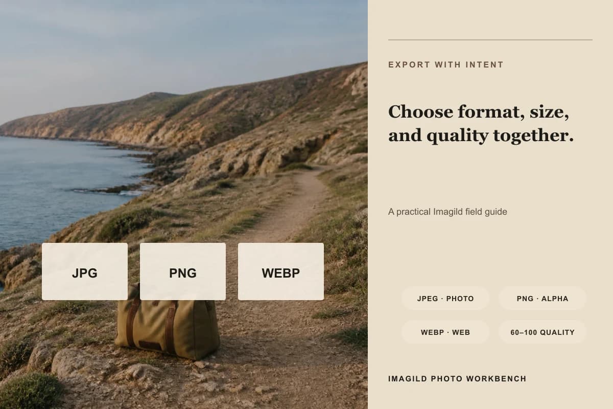JPEG vs PNG vs WebP: choose the right photo export