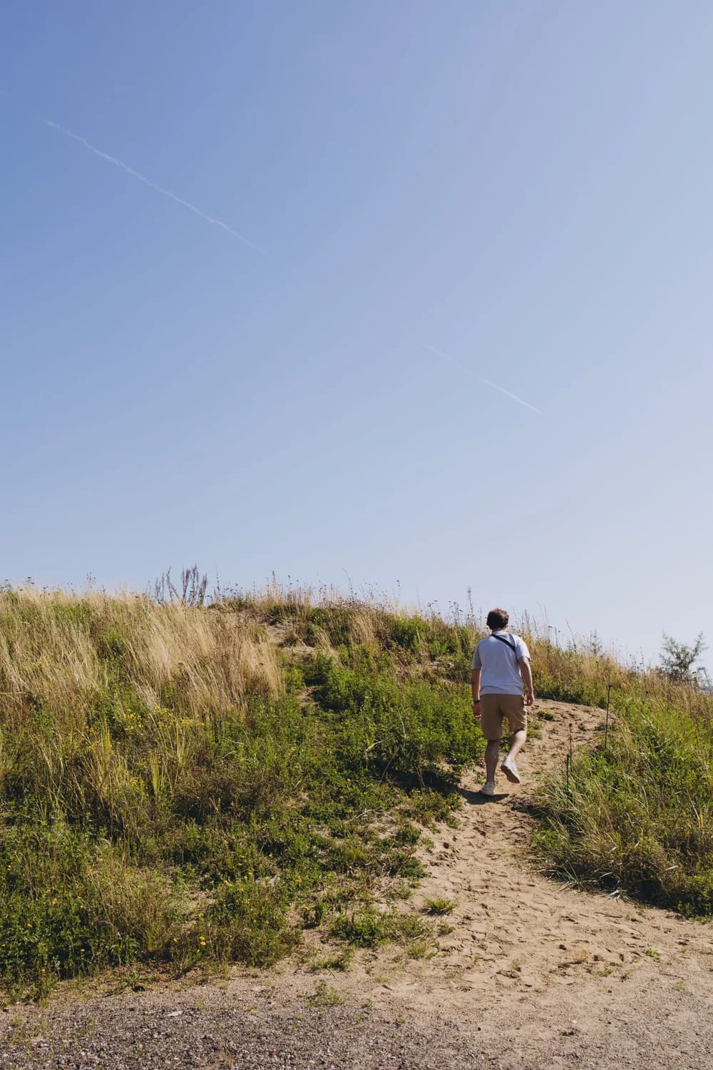 Back-facing walker in a white shirt and tan shorts climbing a sandy grassy hill beneath a blue sky