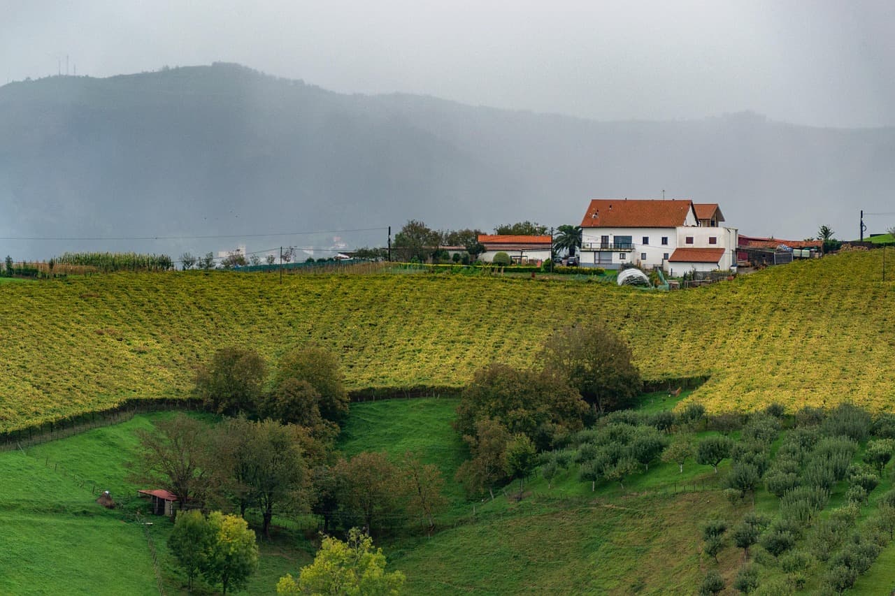 Misty rural valley source photo with green and yellow fields, a white red-roof farm near the horizon, scattered trees, and layered gray hills under soft overcast light